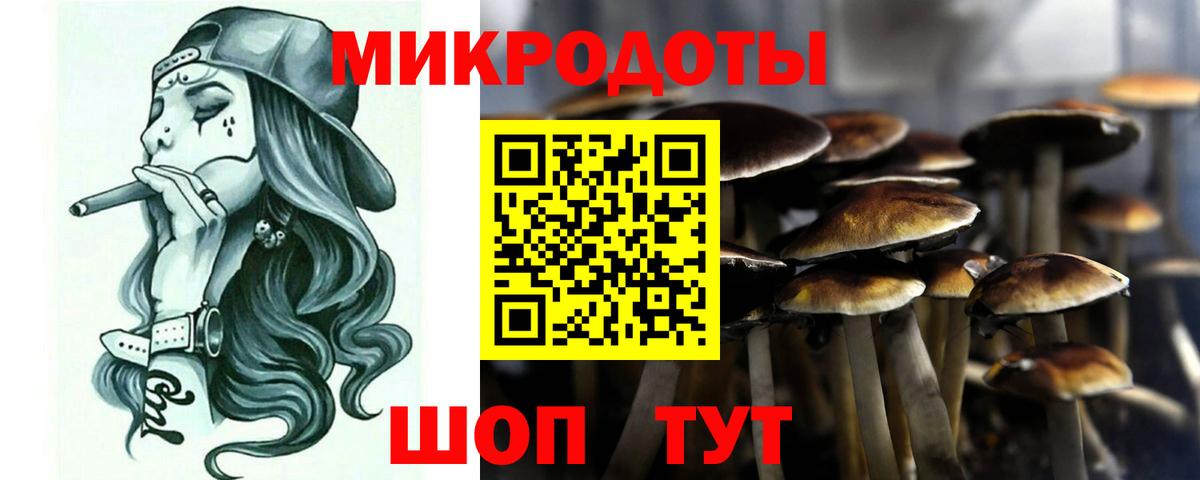 Галлюциногенные грибы мухоморы Волгодонск